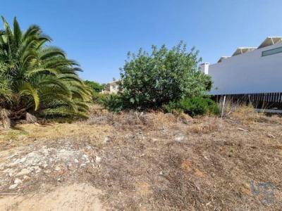 Annonce Vente Terrain Loule