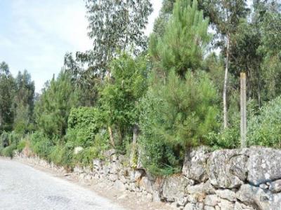 Annonce Vente Terrain Alpendorada-e-matos