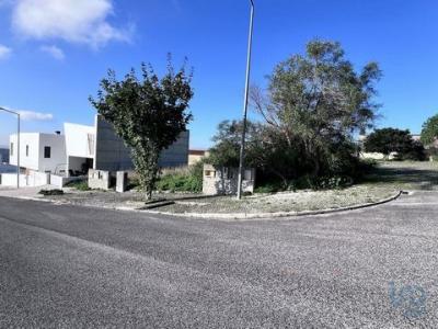 Annonce Vente Terrain Torres-vedras