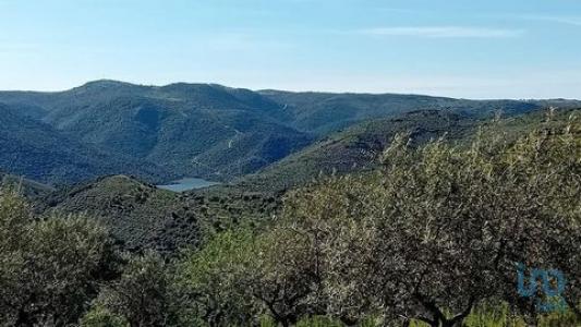 Vente Terrain Fornos FREIXO-DE-ESPADA-A-CINTA-E-MAZOUCO 04 au Portugal