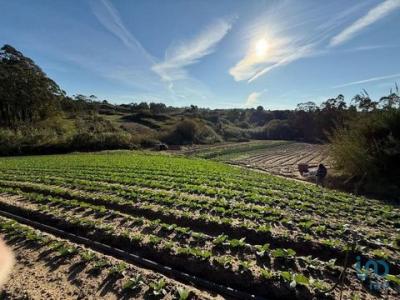 Vente Terrain Alto-foz ATOUGUIA-DA-BALEIA 10 au Portugal