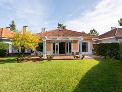 Annonce Vente Maison Alcacer-do-sal