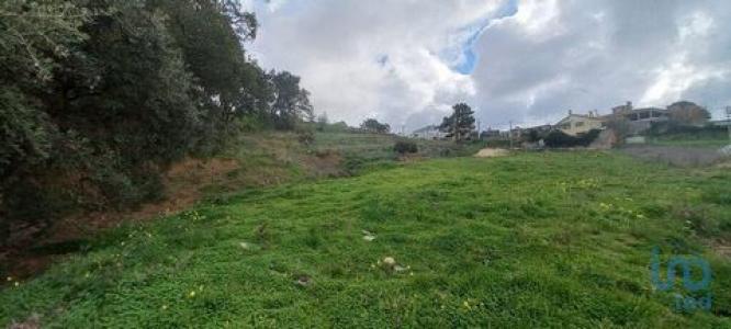 Annonce Vente Terrain Mafra