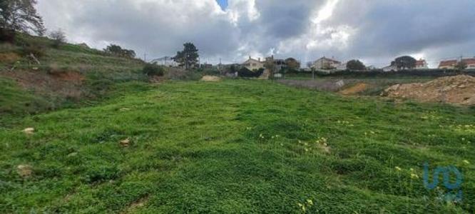 Acheter Terrain 3220 m2 Mafra