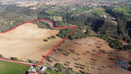 Vente Terrain Santarem ABITUREIRAS 14 au Portugal