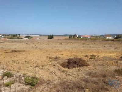 Vente Terrain Alto-foz ATOUGUIA-DA-BALEIA 10 au Portugal