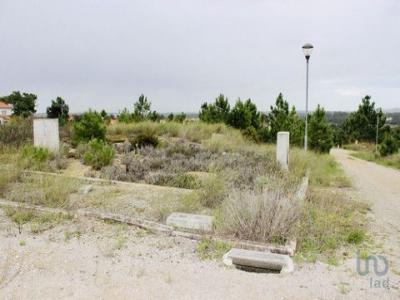 Vente Terrain Sesimbra CASTELO-(SESIMBRA) 15