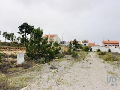 Acheter Terrain 169 m2 Sesimbra