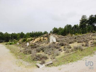 Acheter Terrain Sesimbra rgion SETUBAL