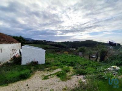 Vente Terrain Cadaval LAMAS-E-CERCAL 11 au Portugal