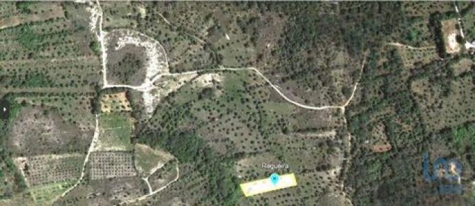 Annonce Vente Terrain Ferreira-do-zezere