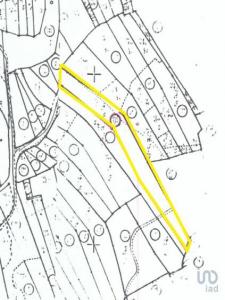 Vente Terrain Ferreira-do-zezere AREIAS-E-PIAS 14