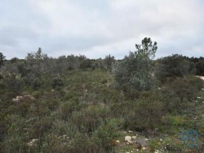 Acheter Terrain 1600 m2 Ferreira-do-zezere