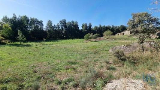 Vente Maison Meda VALE-FLOR,-CARVALHAL-E-PAI-PENELA 09