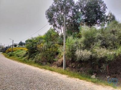 Acheter Terrain 23430 m2 Pacos-de-ferreira