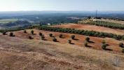 Acheter Terrain SANTAREM rgion SANTAREM