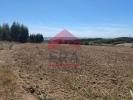 Acheter Terrain 8440 m2 LOURINHA