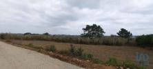 Acheter Terrain 1000 m2 MAFRA