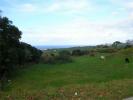 Acheter Terrain 32767 m2 RIBEIRA-GRANDE