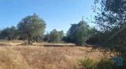 Annonce Vente Terrain TORRAO