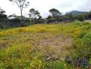 Acheter Terrain 1000 m2 RIBEIRA-GRANDE