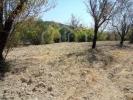 Acheter Terrain 3878 m2 LOULE