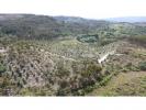 Acheter Terrain 13550 m2 VIEIRA-DO-MINHO