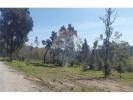 Acheter Terrain 5180 m2 SANTO-TIRSO