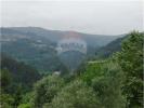 Acheter Terrain CABECEIRAS-DE-BASTO rgion BRAGA