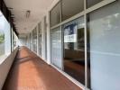 Acheter Local commercial 744 m2 PONTA-DELGADA