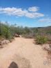 Acheter Terrain 10480 m2 LOULE