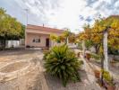 Annonce Vente 3 pices Maison LOULE