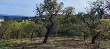 Acheter Terrain 4600 m2 LOULE