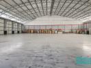 Louer Local industriel 2396 m2 OLIVEIRA-DO-BAIRRO