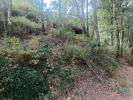 Acheter Terrain 7231 m2 PEDROGAO-GRANDE