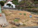 Annonce Vente Terrain CALHETA