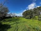 Acheter Terrain 360 m2 LOULE