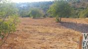 Acheter Terrain 5000 m2 LOULE