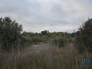 Acheter Terrain 2560 m2 FERREIRA-DO-ZEZERE