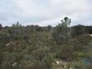 Acheter Terrain 1600 m2 FERREIRA-DO-ZEZERE