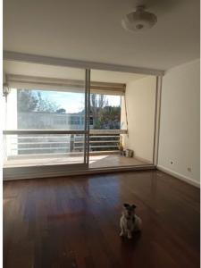 Louer Appartement 122 m2 Cascais