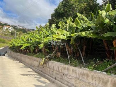 Vente Terrain Calheta  30 au Portugal