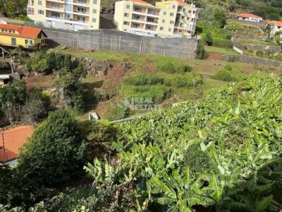 Acheter Terrain Calheta rgion MADEIRA