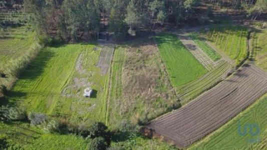 Vente Terrain Montemor-o-velho TENTAGAL 06 au Portugal