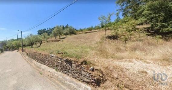 Vente Terrain Penela SAO-MIGUEL,-SANTA-EUFAMIA-E-RABAAAL 06 au Portugal