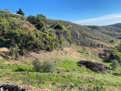 Acheter Terrain 5700 m2 Tavira