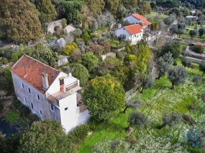 Vente Maison Tabua PAVOA-DE-MIDAES 06 au Portugal