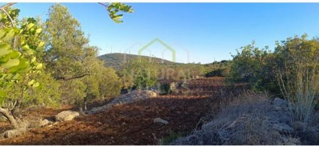 Acheter Terrain 3280 m2 Faro