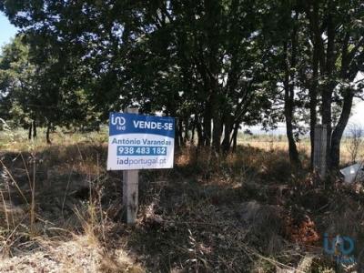 Annonce Vente Terrain Sabugal