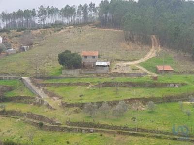 Annonce Vente Terrain Pampilhosa-da-serra